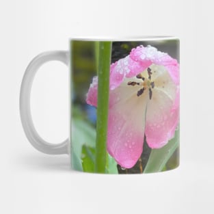 Springtime Mug